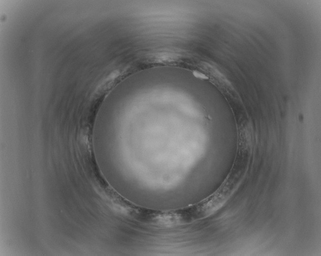 X0000074940415200609011121