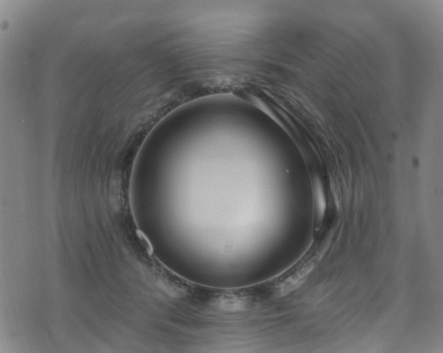 X0000074940416200609011121