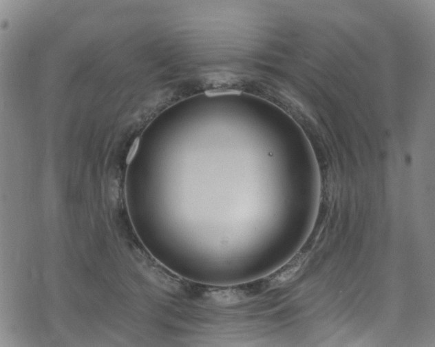 X0000074940417200609011120