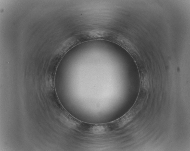 X0000074940418200609011120