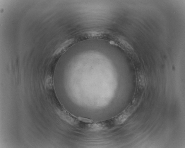 X0000074940419200609011120