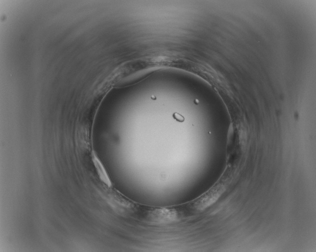 X0000074940421200609011120