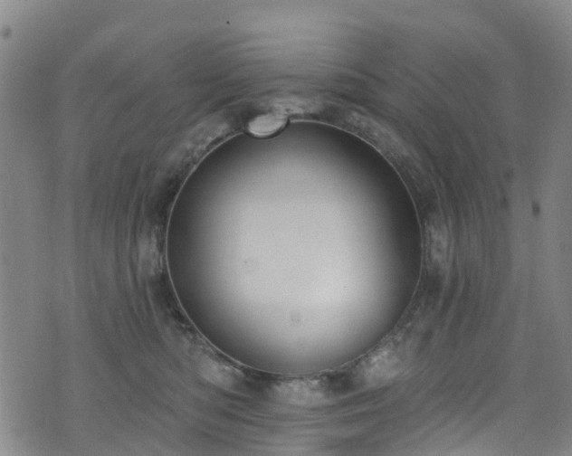 X0000074940422200609011120