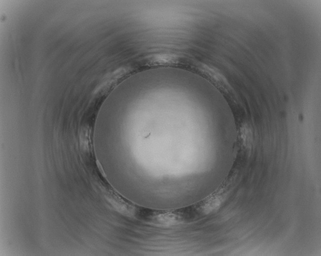 X0000074940423200609011120