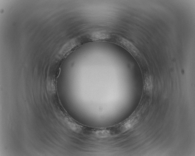 X0000074940426200609011120