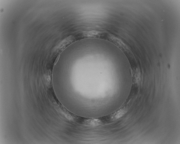 X0000074940427200609011120