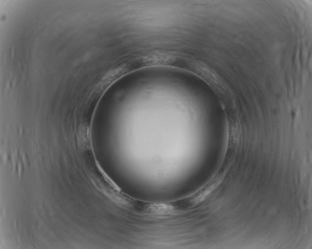 X0000074940429200609011120