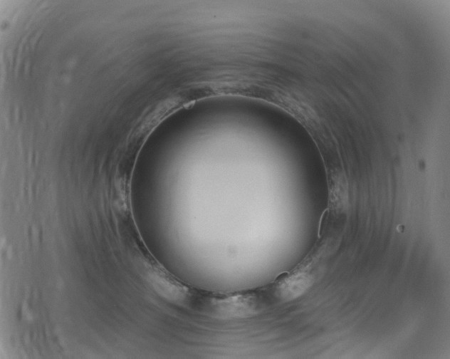 X0000074940430200609011120