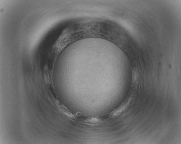 X0000074940431200609011120