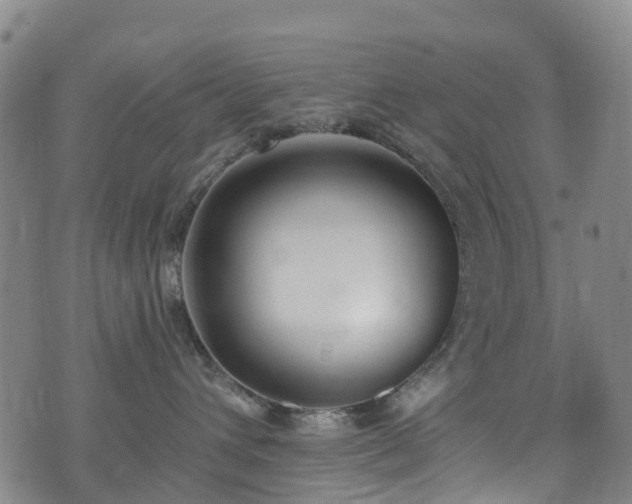 X0000074940432200609011120