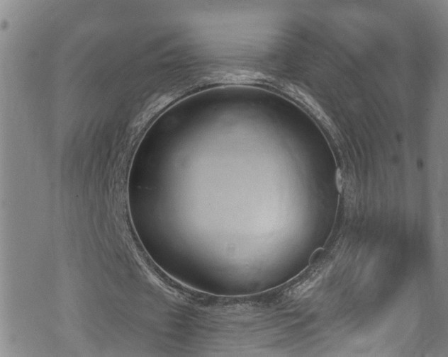 X0000074940433200609011119