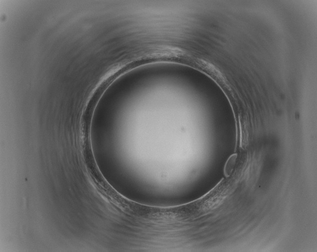 X0000074940435200609011119