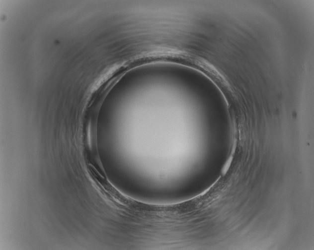 X0000074940436200609011120