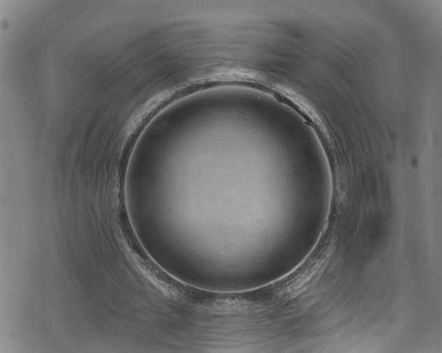 X0000074940437200609011120