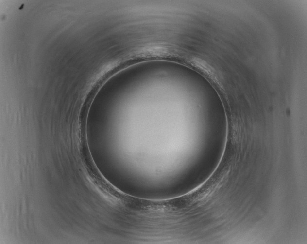 X0000074940439200609011120