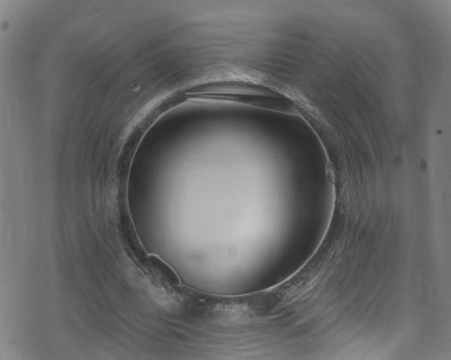 X0000074940440200609011120