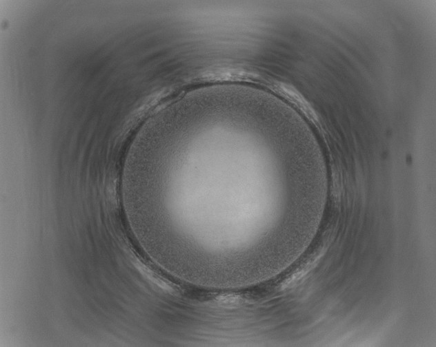 X0000074940441200609011120