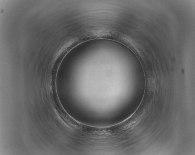 X0000074940443200609011120