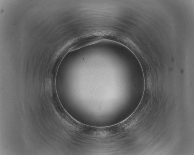 X0000074940444200609011120