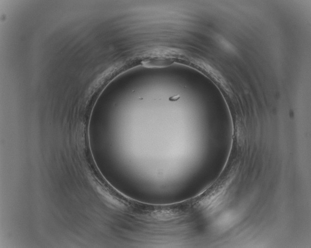 X0000074940445200609011120