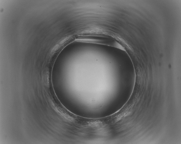 X0000074940446200609011120