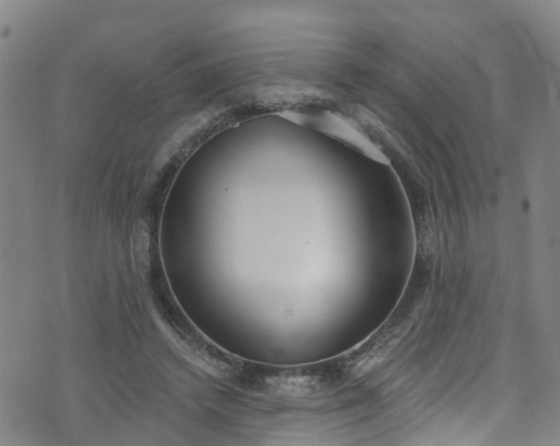 X0000074940448200609011120