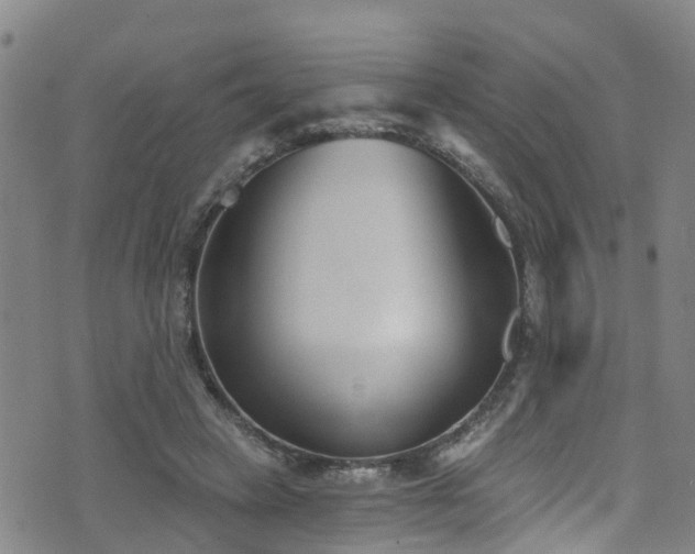 X0000074940449200609011120