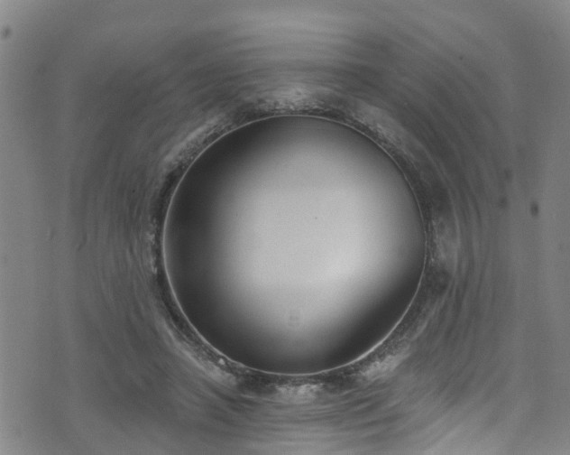 X0000074940450200609011120