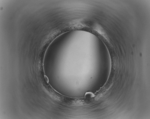 X0000074940451200609011120