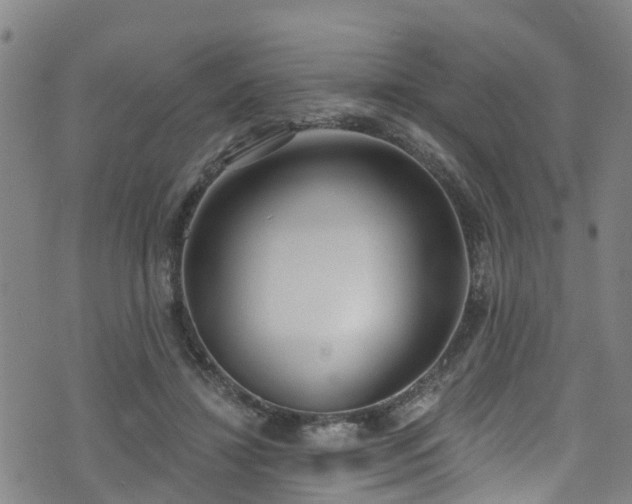 X0000074940452200609011120