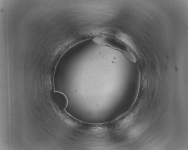 X0000074940453200609011120