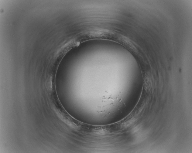 X0000074940454200609011120