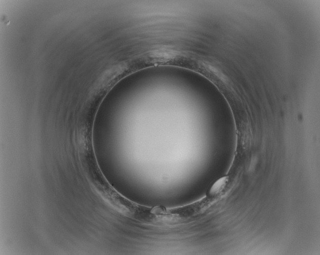 X0000074940455200609011120