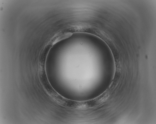 X0000074940456200609011120