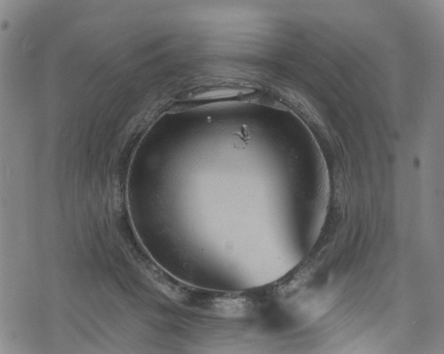 X0000074940457200609011120