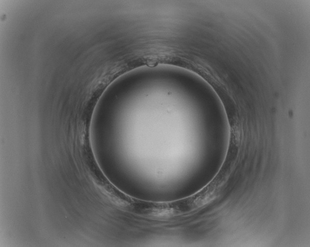 X0000074940458200609011120