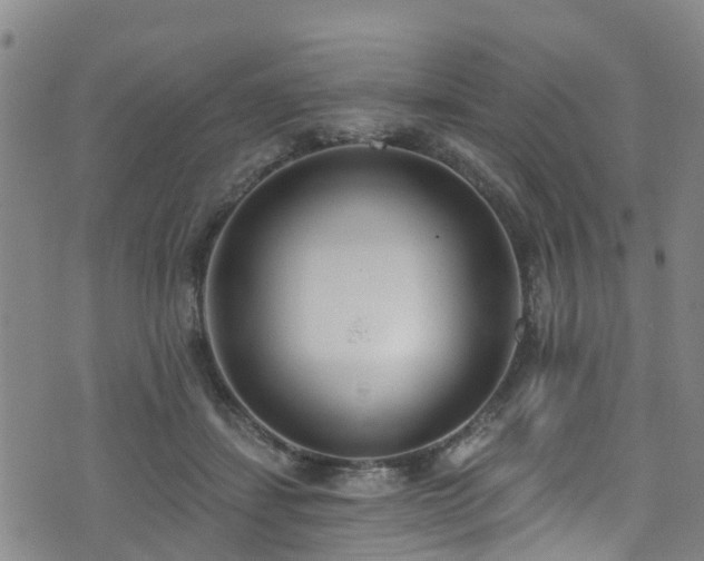 X0000074940459200609011120