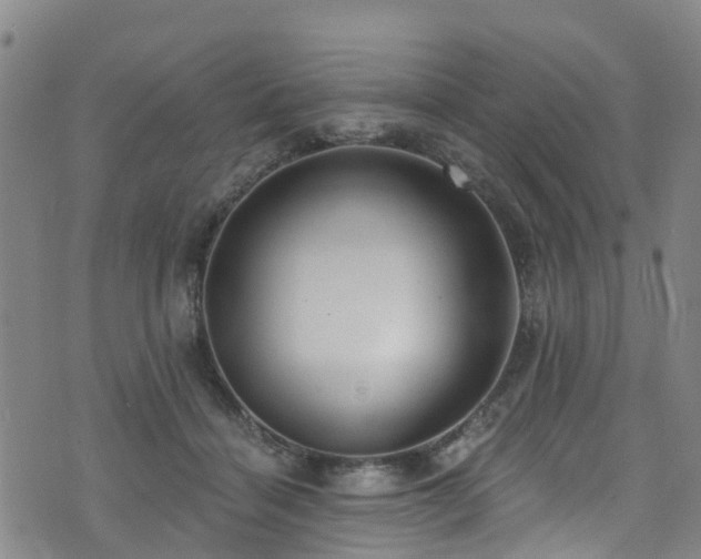 X0000074940460200609011120