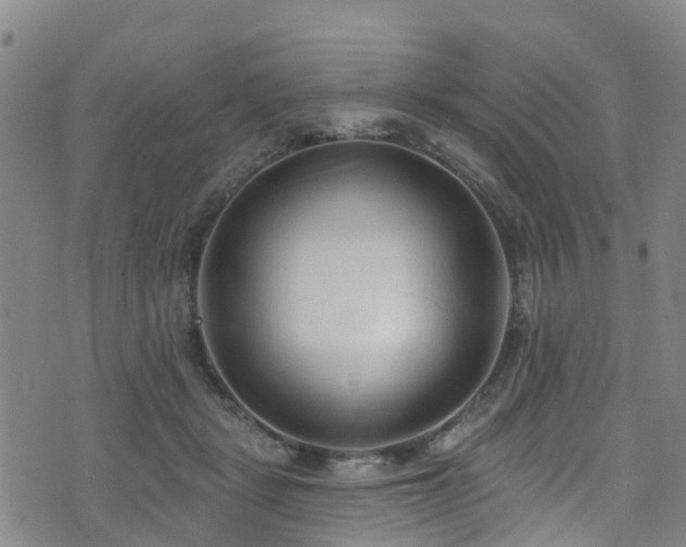 X0000074940461200609011120