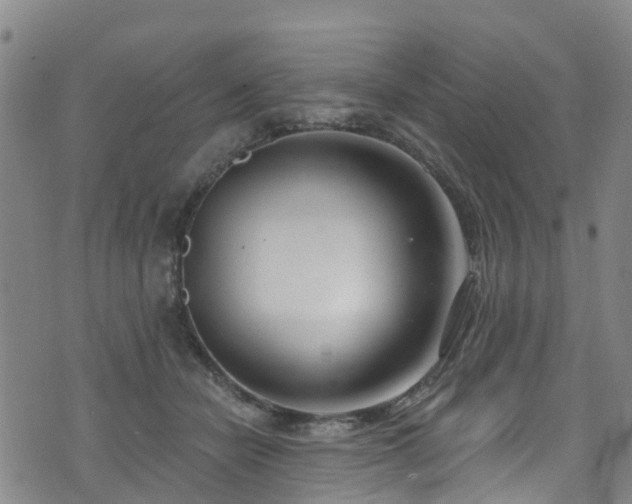 X0000074940462200609011120