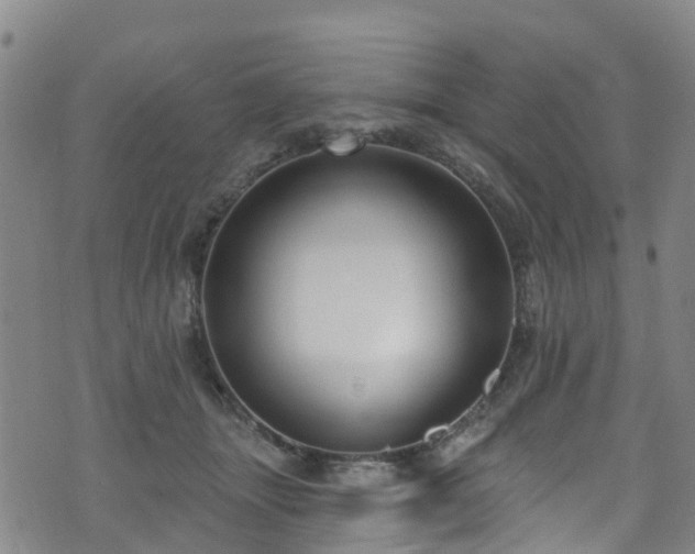 X0000074940463200609011120