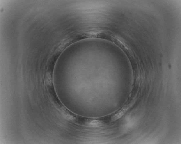 X0000074940467200609011120