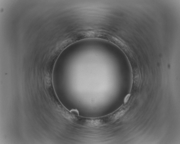 X0000074940469200609011120