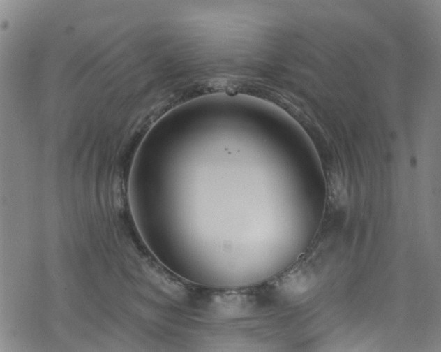 X0000074940470200609011120