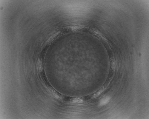 X0000074940471200609011120