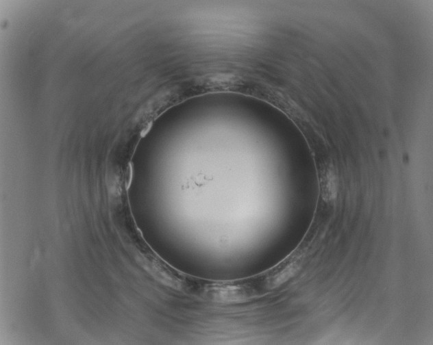 X0000074940472200609011120