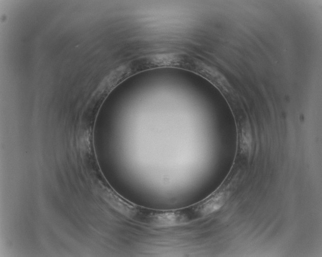 X0000074940473200609011120