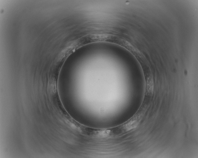 X0000074940474200609011120