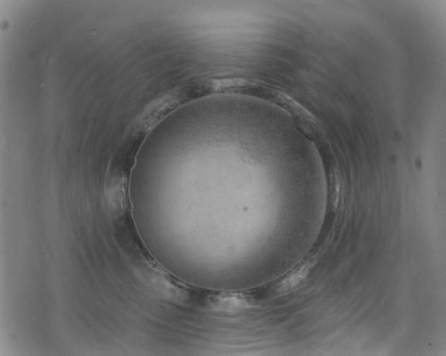 X0000074940475200609011120