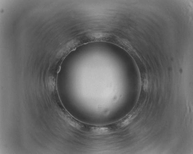 X0000074940476200609011120